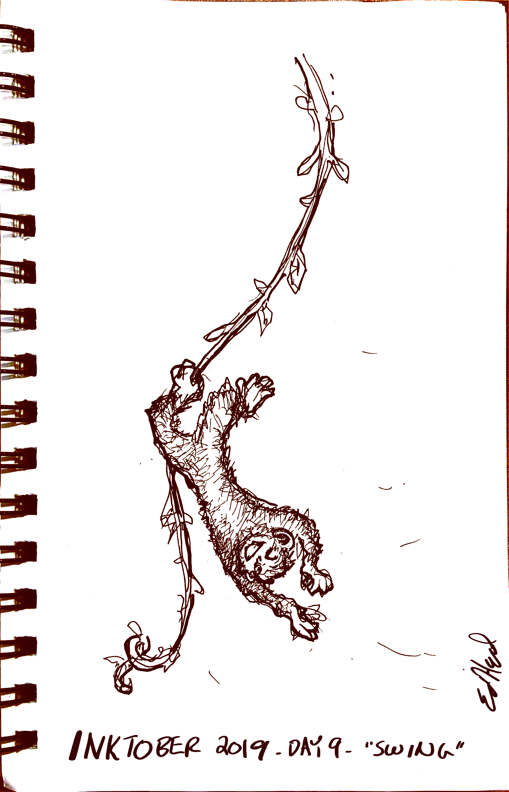 A happy monkey swinging upside down on a vine